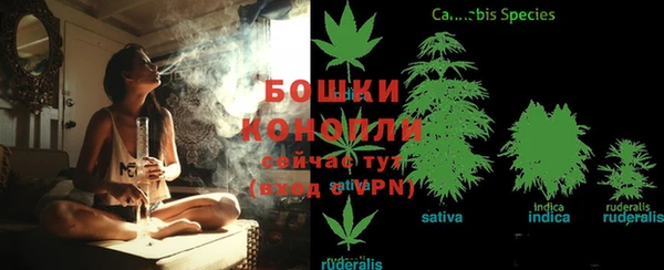 бутират Инсар
