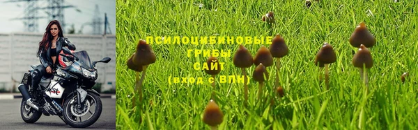 метамфетамин Инта