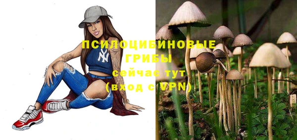 метамфетамин Инта