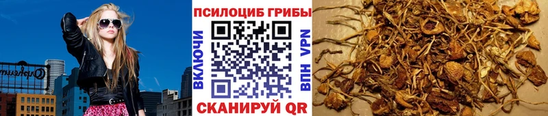 Галлюциногенные грибы Psilocybe  Купить где  Комсомольск 